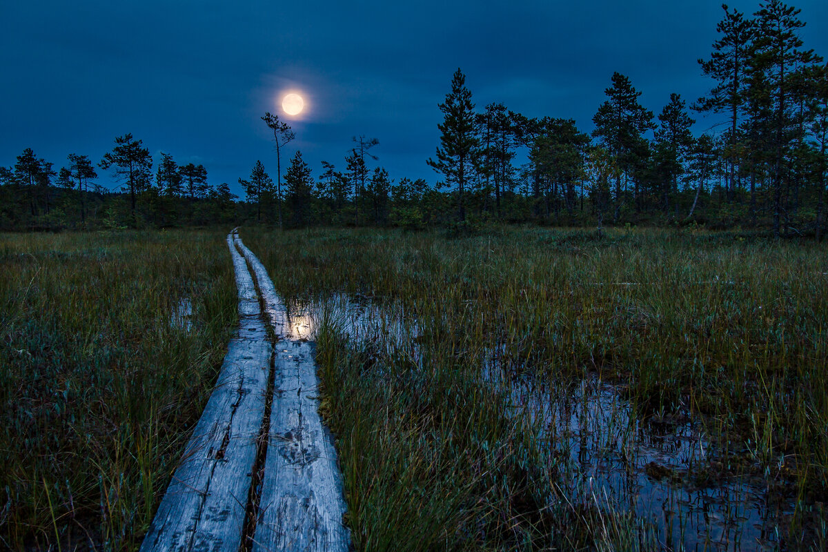 Фотография взята из открытого интернет источника.