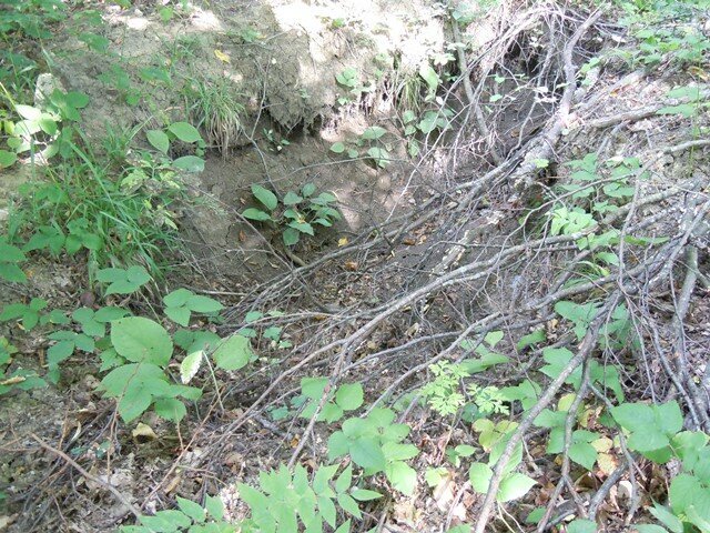 Вот как оправдывают лесорубы хаотичную прокладку ими глубоких, до глины, трелёвочных дорог через леса, поверх старых аккуратных грунтовок, ещё и разрушая при этом древние поселения и могильники разных-2