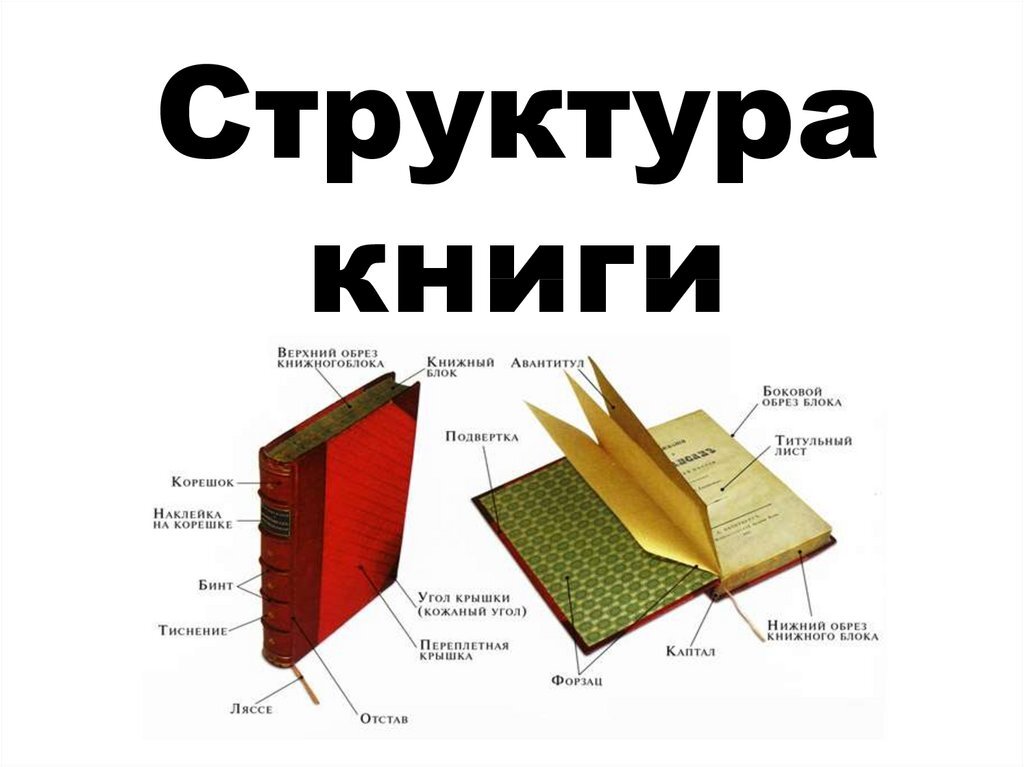 Тут во мне немедленно проснулся библиотекарь)) Форзац - это двойной лист, одна сторона которого приклеена к переплету, а вторая - к первому листу книжного блока. Это, собственно, и держит книгу внутри обложки. Такой же лист приклеивается и в конце, называется нахзац (да, такой он, немецкий язык. Спасибо Гутенбергу).