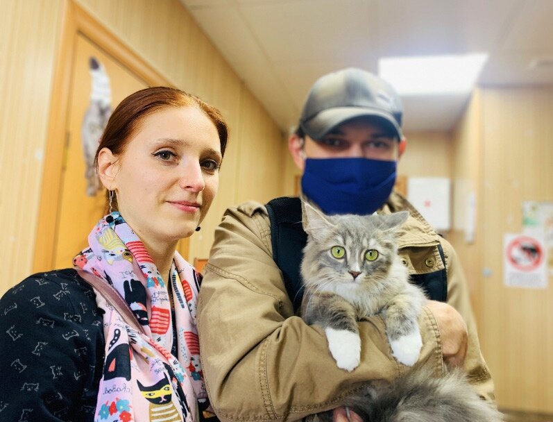 помощь животным. приют добрый дом тольятти. кормление бездомных собак. волонтеры в приюте для животных. приют доброе сердце пермь.