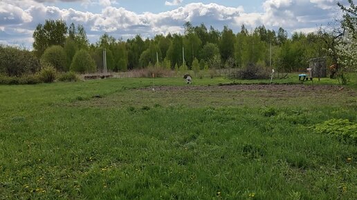 Первый весенний огородный обзор сезона 2023 на проекте Сапуново. 07052023.