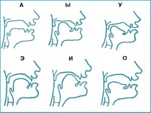 Профили гласных звуков