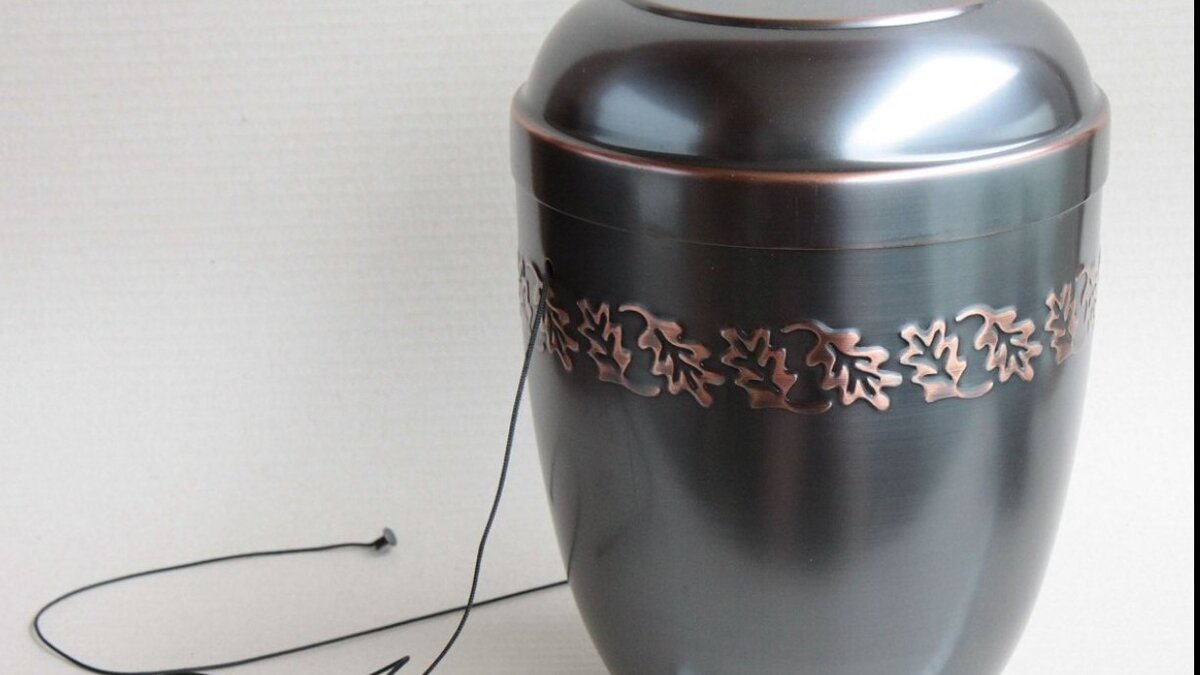     Кремационный комплекс расположится в районе кладбища Червишевское-5.