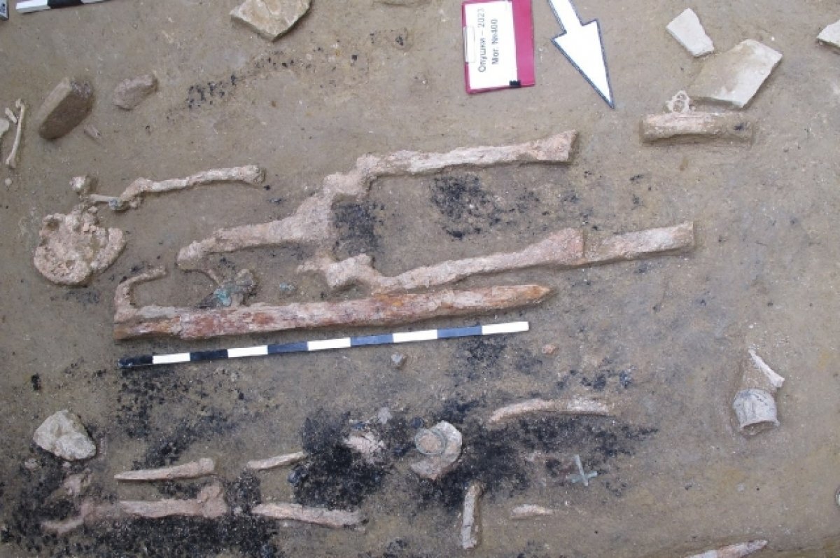    Останки воина с мечом и серьгой на плече, найденные в могильнике Опушки.