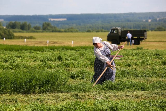    Как получить бесплатно землю через «Госуслуги»?