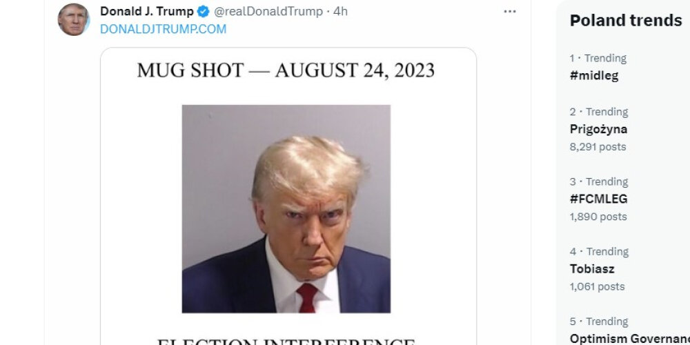 Трамп ненавидит. Trump Mug shot. Trump mugshot looksmaxxing.