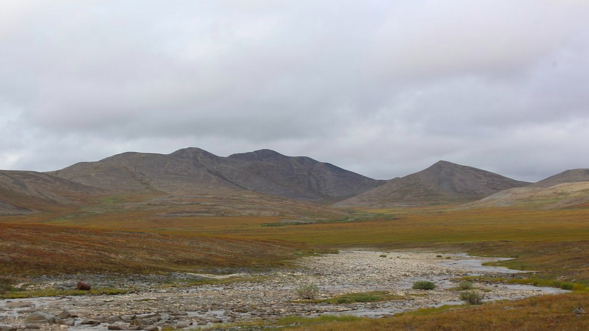 Чукчей можно встретить в самых суровых местах нашей страны – от Берингова моря до реки Индигирки и от Северного Ледовитого океана. 