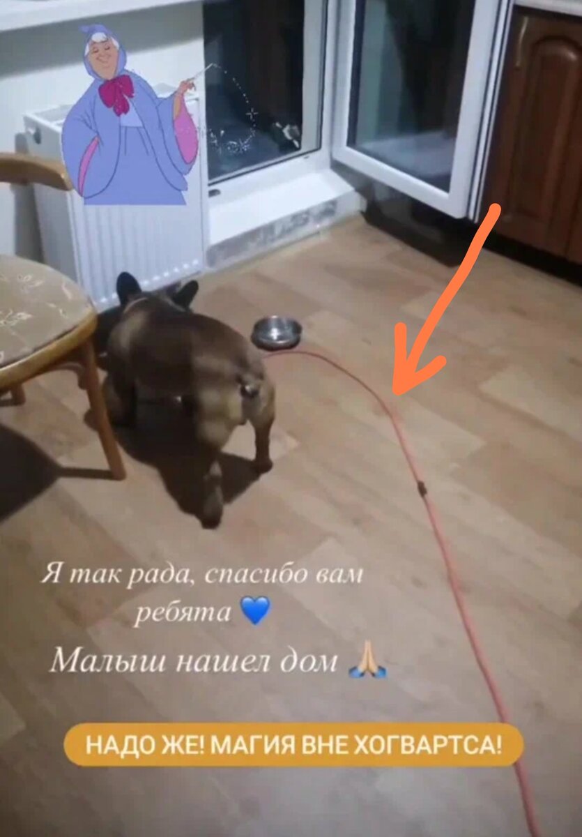 Та самая удавка