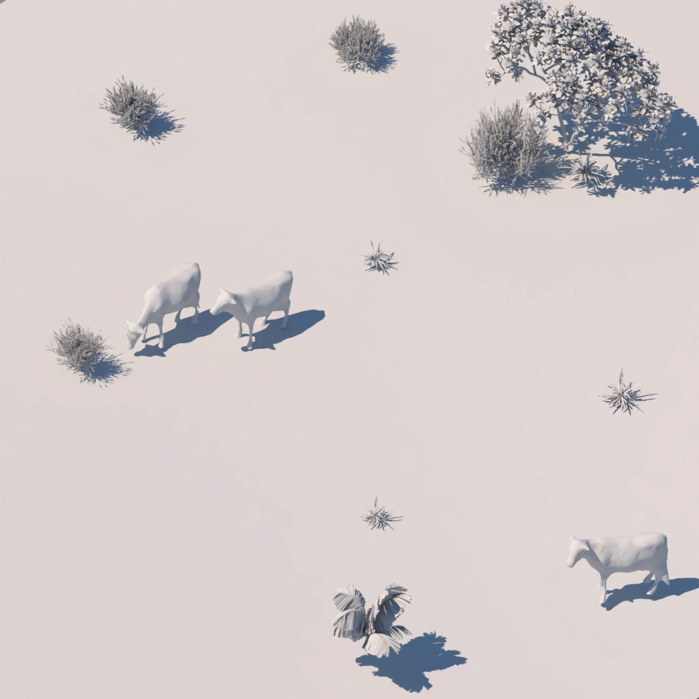 -4