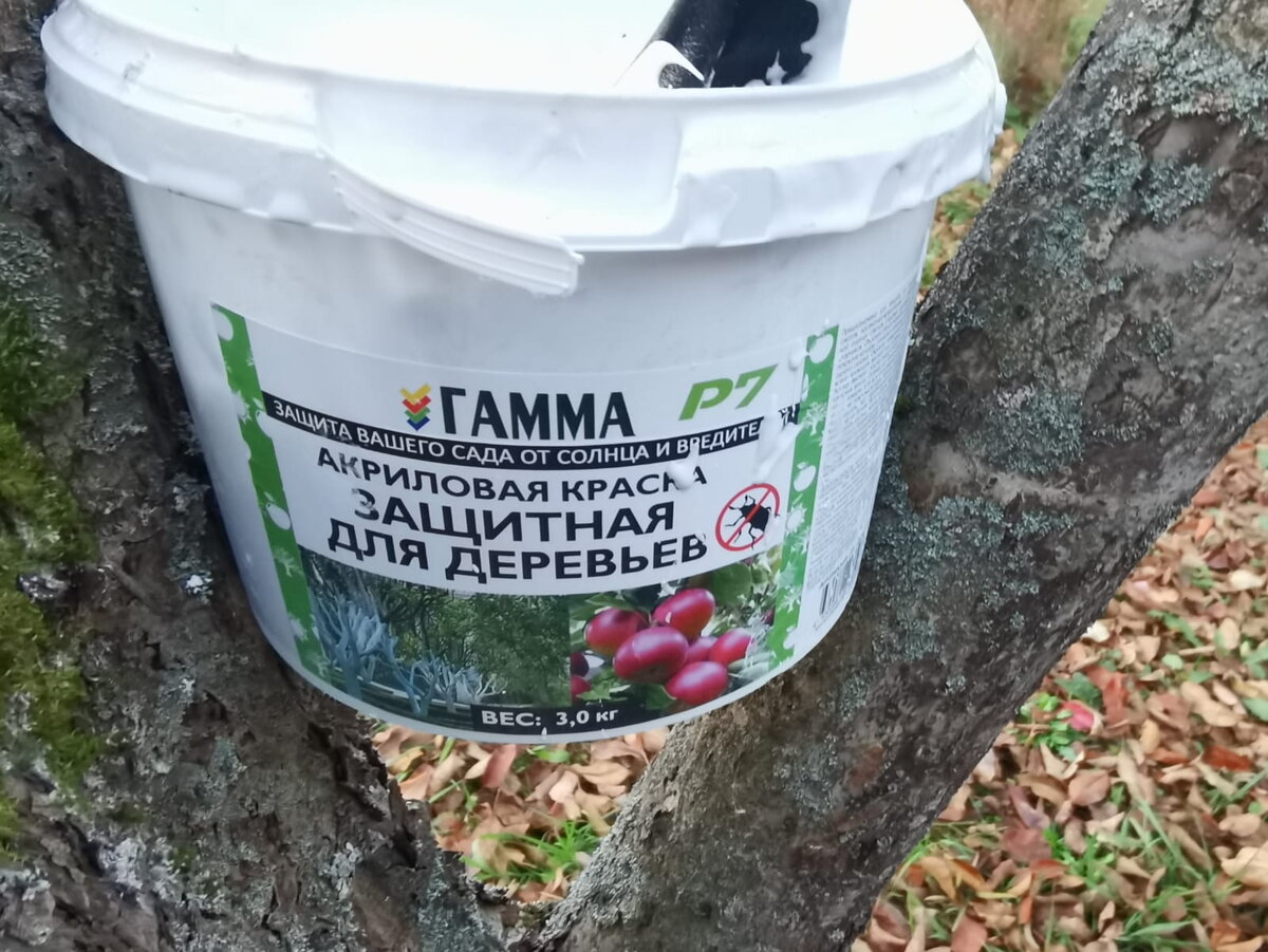 Уход за деревьями