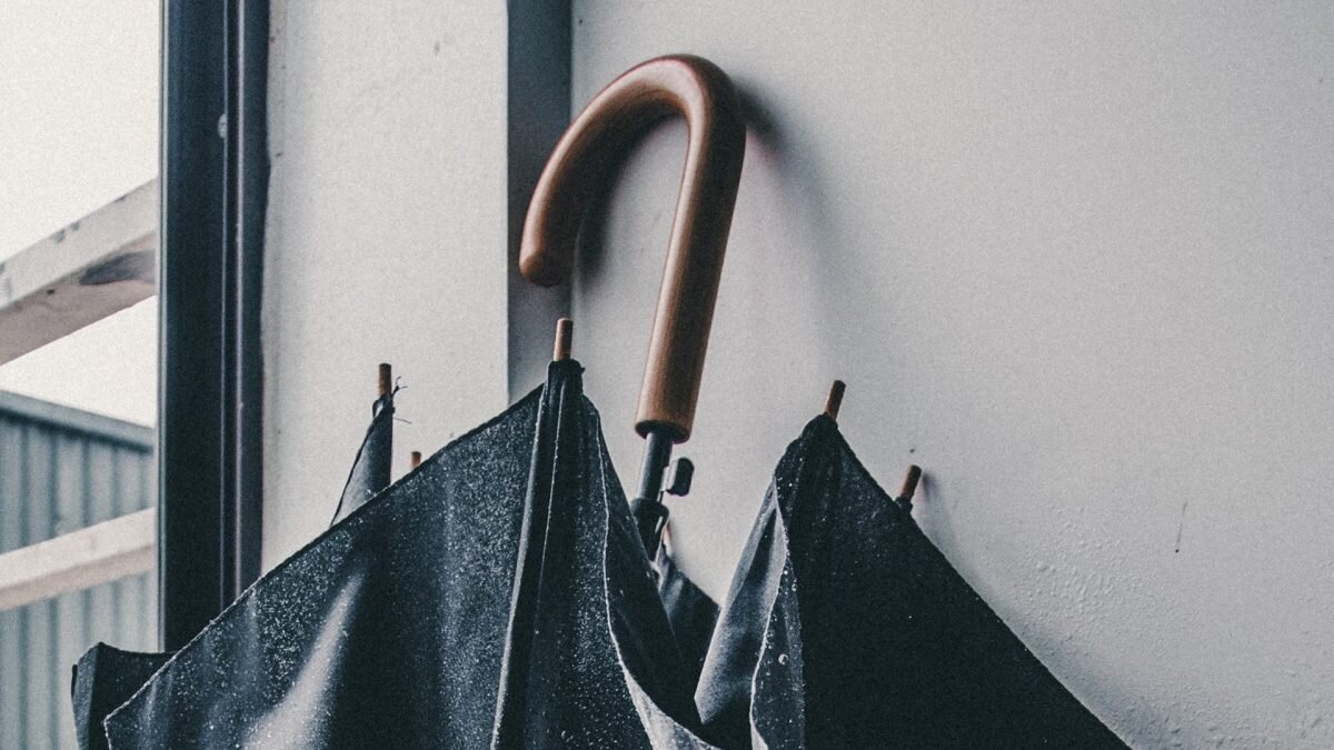    Фото: unsplash.com. Август Макаров