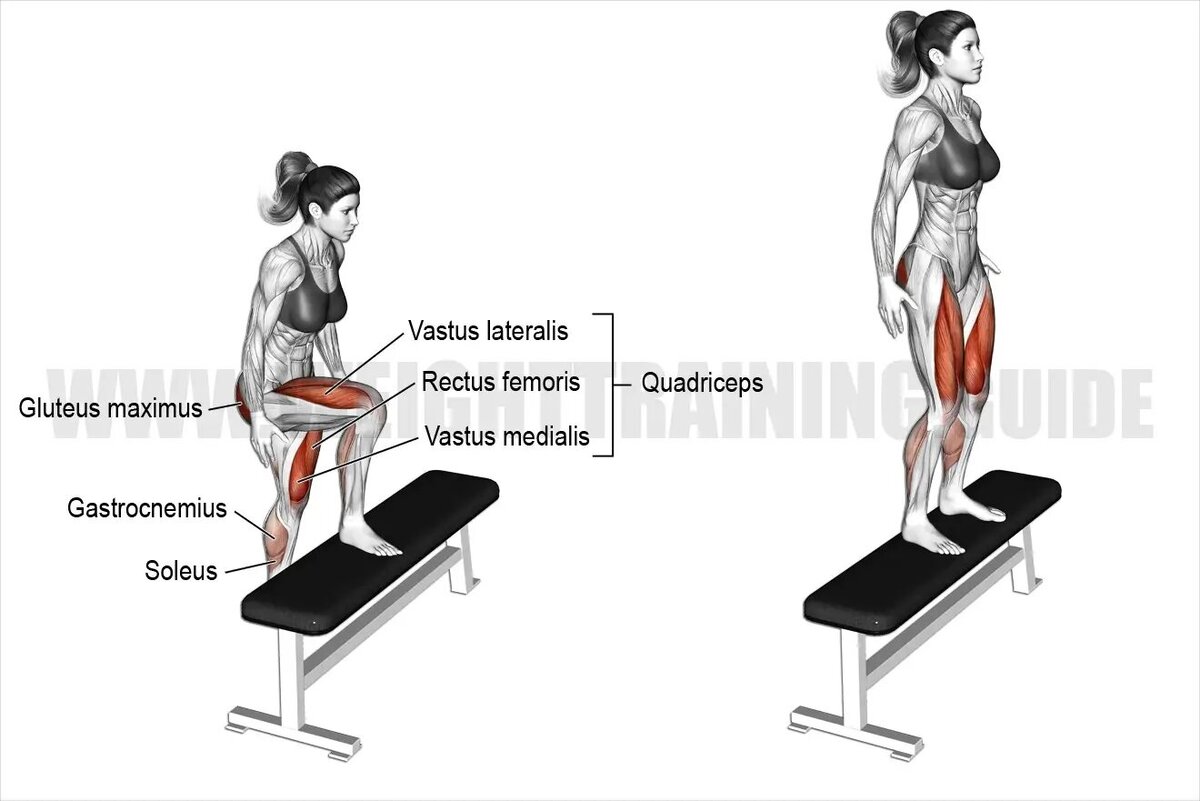 5 упражнений со скамьей на мышцы ног + бонус | DEXsport | Дзен