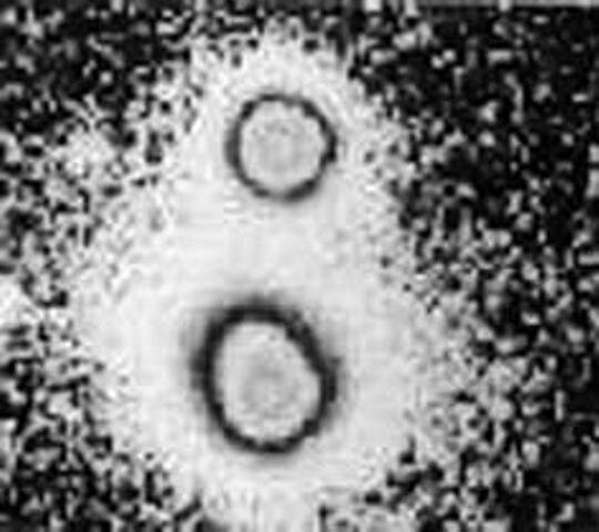 Что такое гравитационная линза и чем она отличается от оптической ...