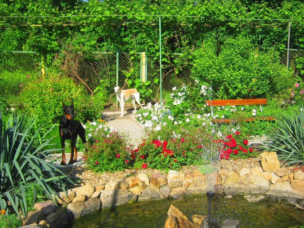 Зайка и Грей