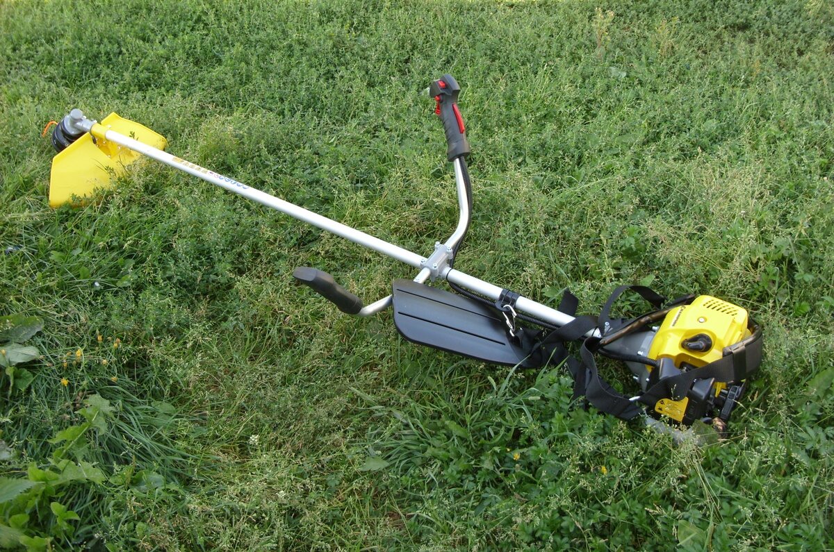 Источник фото: Яндекс картинки