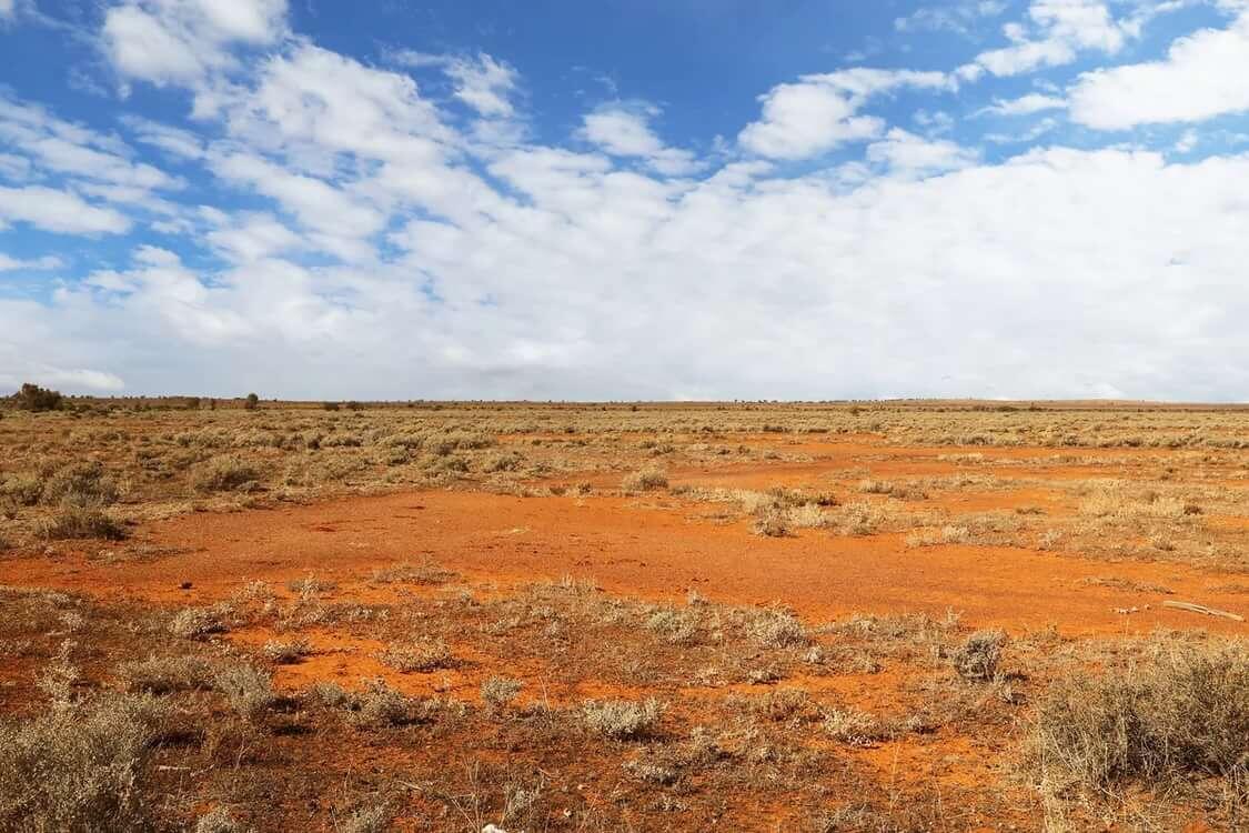 Что творится 