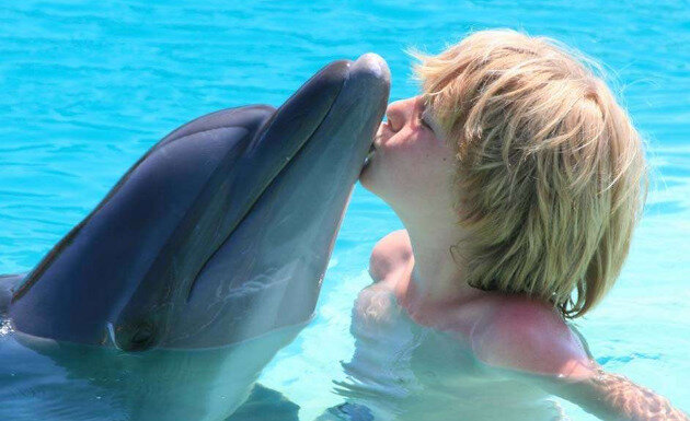 Дельфины - самые дружелюбные животные