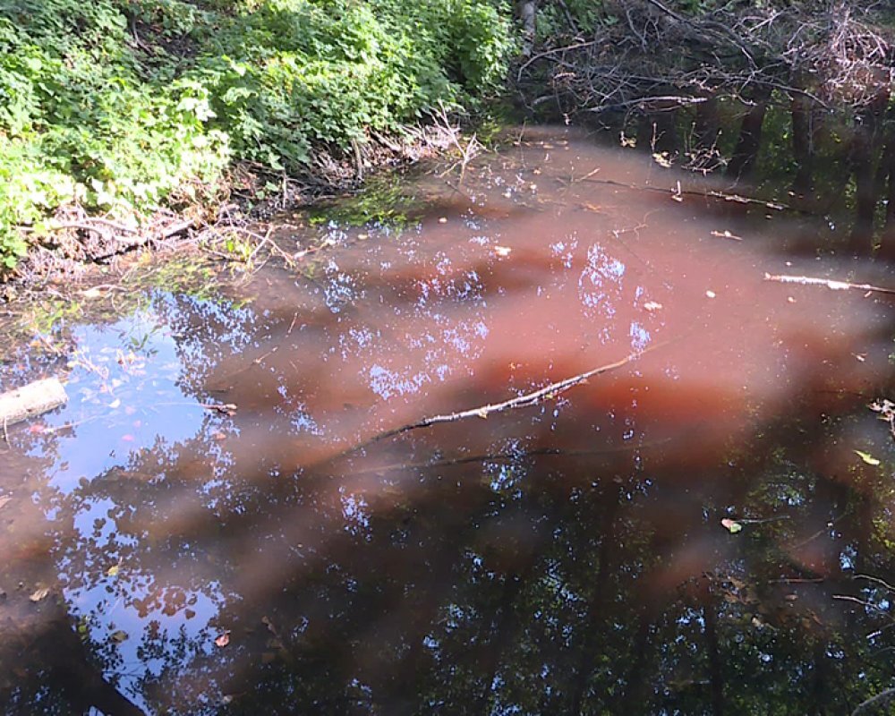 Фото: соцсети