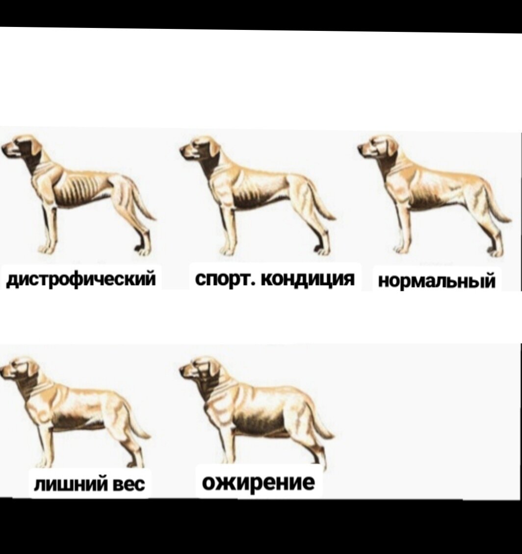 Жирная доманаберегу.рф3 / Мужской ротъ коровы / слушать бесплатно на музклабе / Группа Хоr КОНЧАL♥vEского