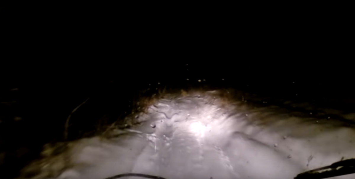 "Снежный человек", попавший в объектив видеорегистратора в Башкирии. Источник: https://www.youtube.com/watch?v=Zz0Ypv6F0aI