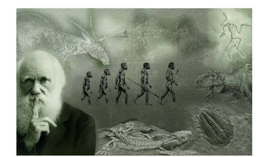 Только никому не говорите