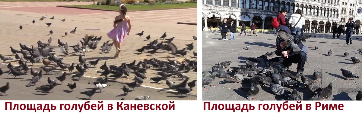 Площадь голубей