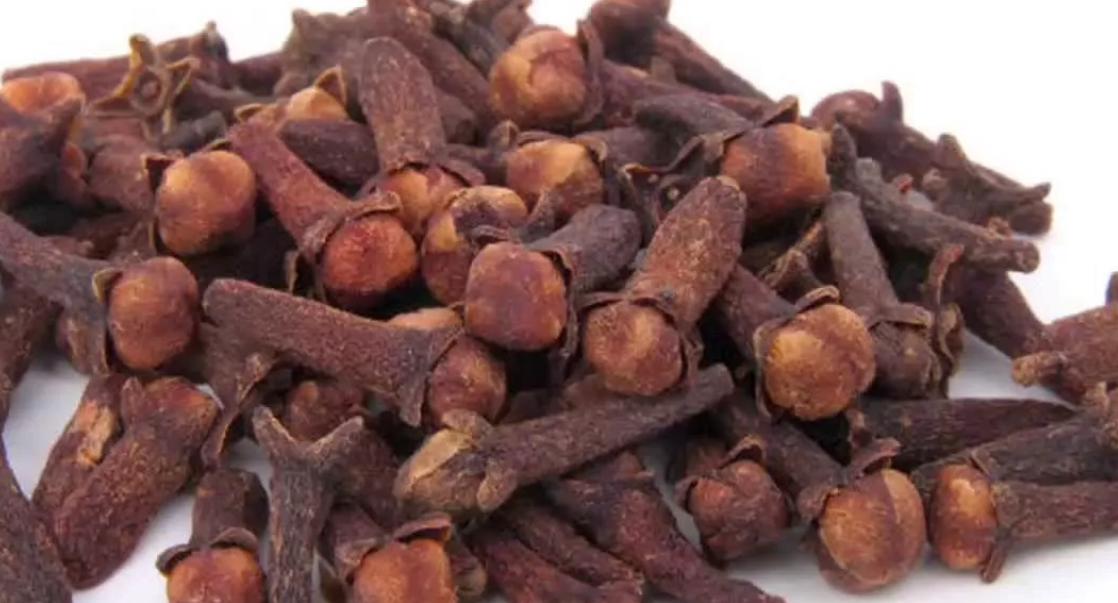 плоды гвоздики