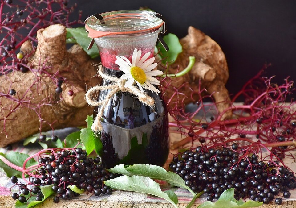 pixabay.com/photos/elder-elderberries-berries-juice-2652553/