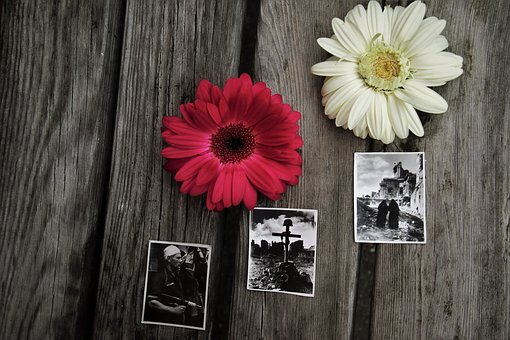 Изображение позаимствовано с сайта pixabay.com