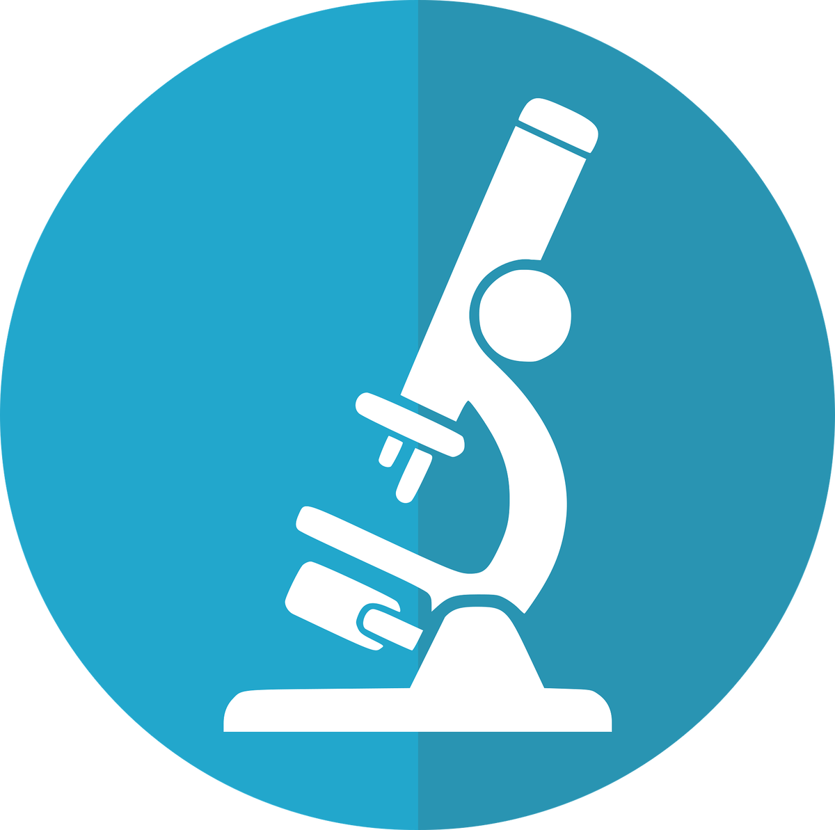 pixabay.com/ru/vectors/микроскоп-научные-исследования-3101403/