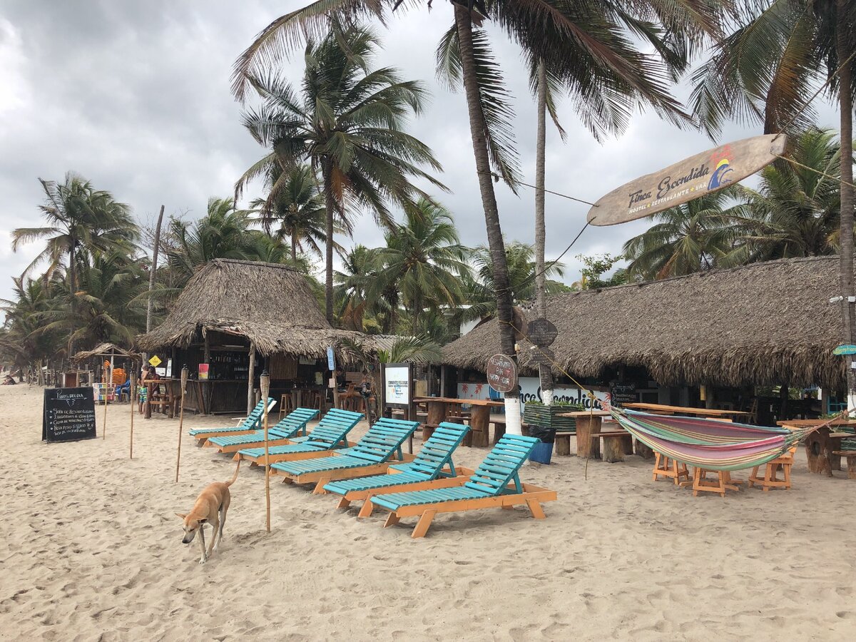 Паломино, Колумбия