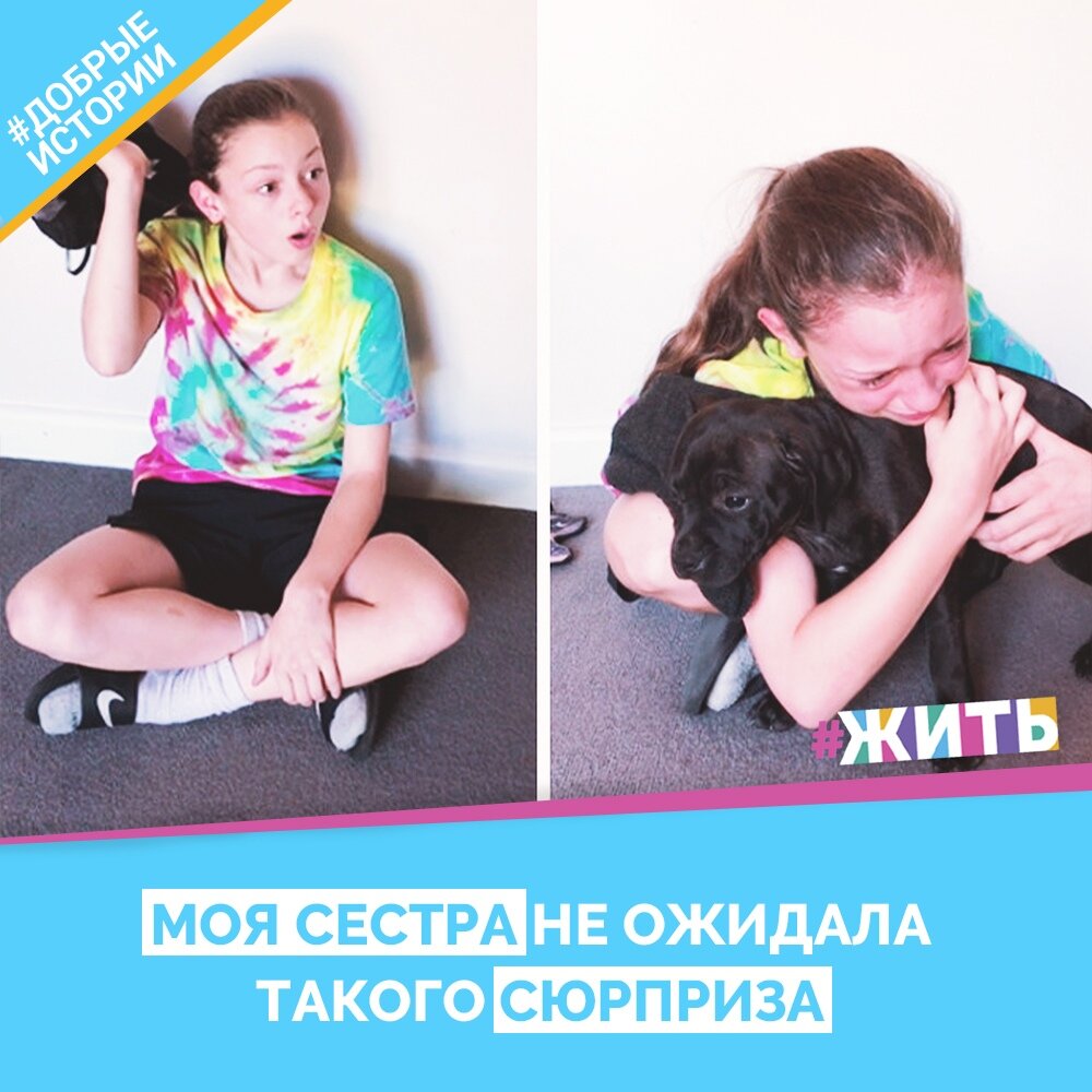 А помните, как а детстве мы часто просили у мамы собачку или кошечку... ну хотя бы попугайчика😁

#жить #проектжить #добрыеистории