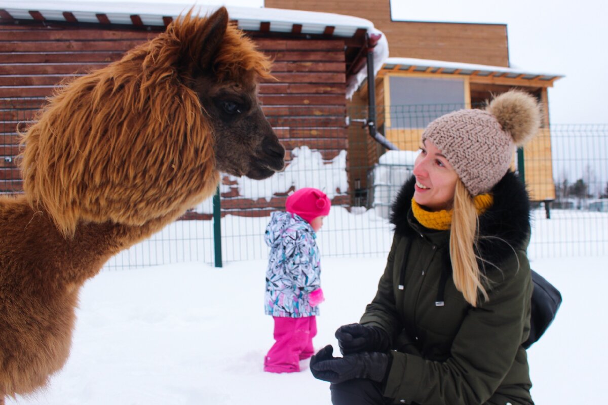 Поговорим? Фотография автора