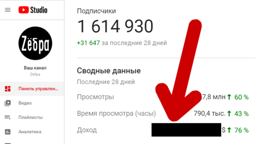 Сколько я зарабатываю за миллион просмотров | Статистика и демонетизация
