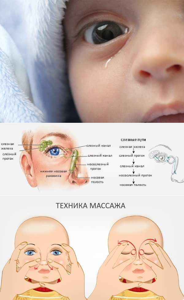 Источник Яндекс картинки