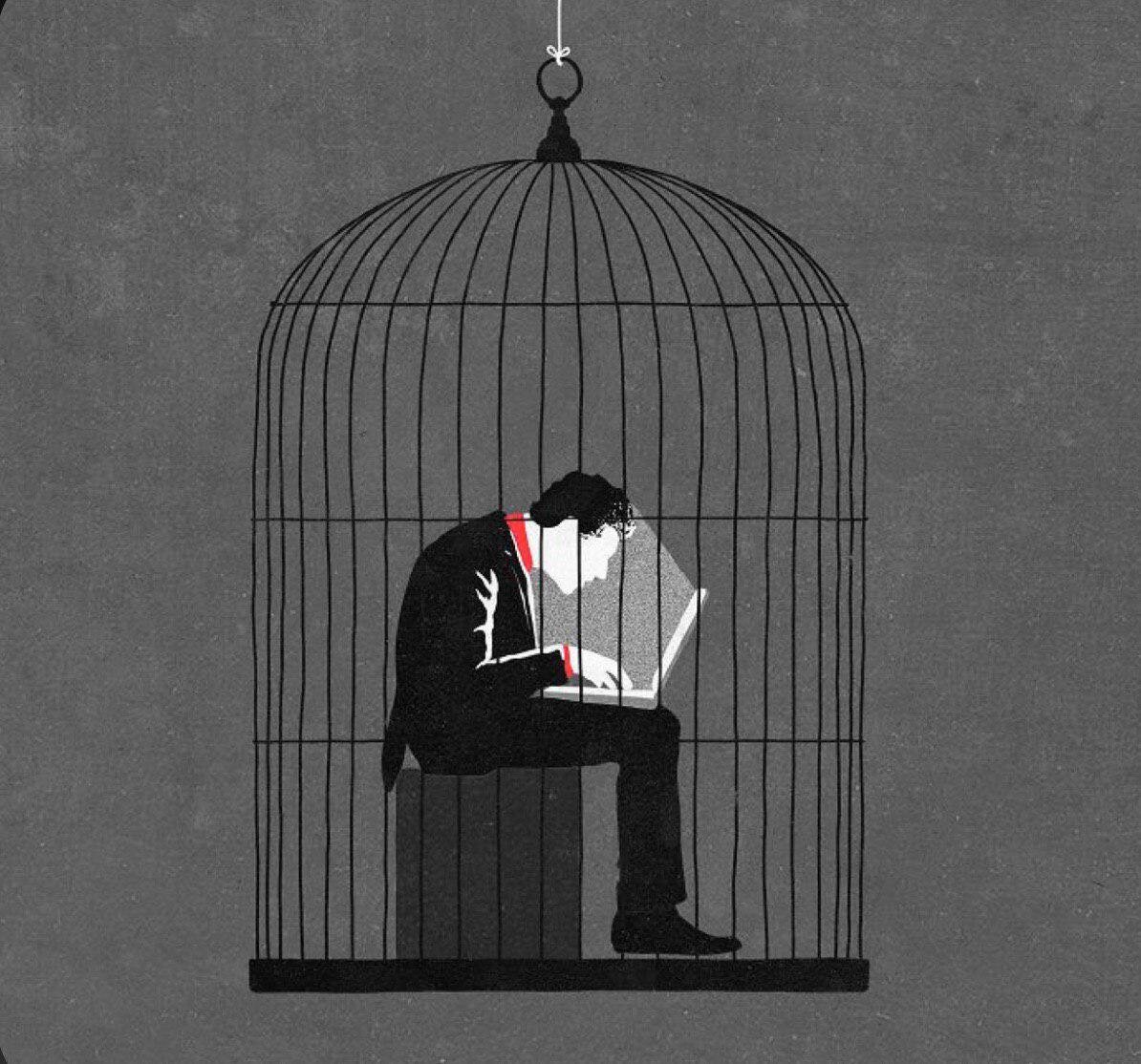 Недавние исследования ученых показали, что эти утверждения недалеки от истины, а помогли им в этом, как ни странно, крысы.
