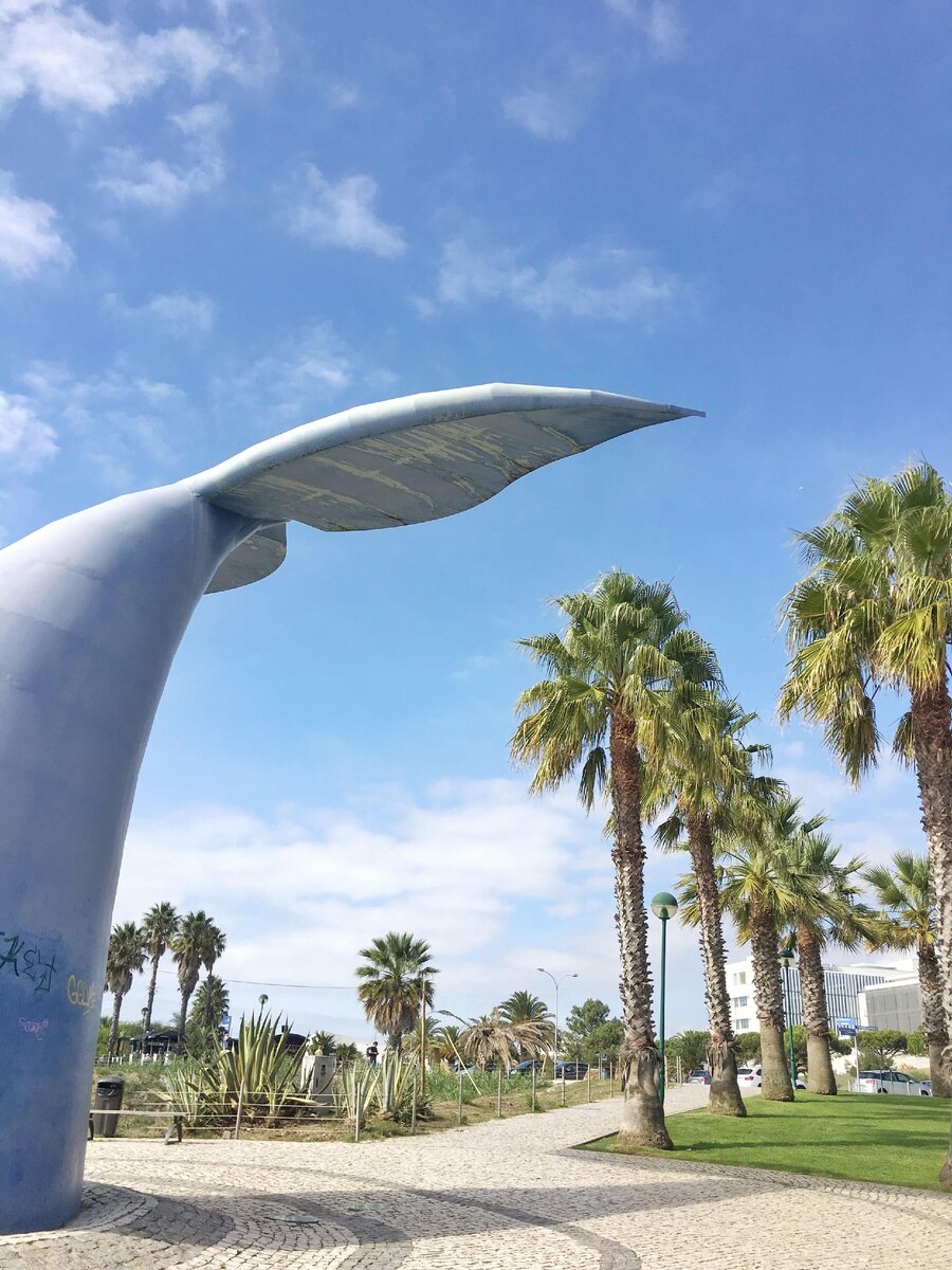 Лиссабон, Португалия, моя любимая поездка