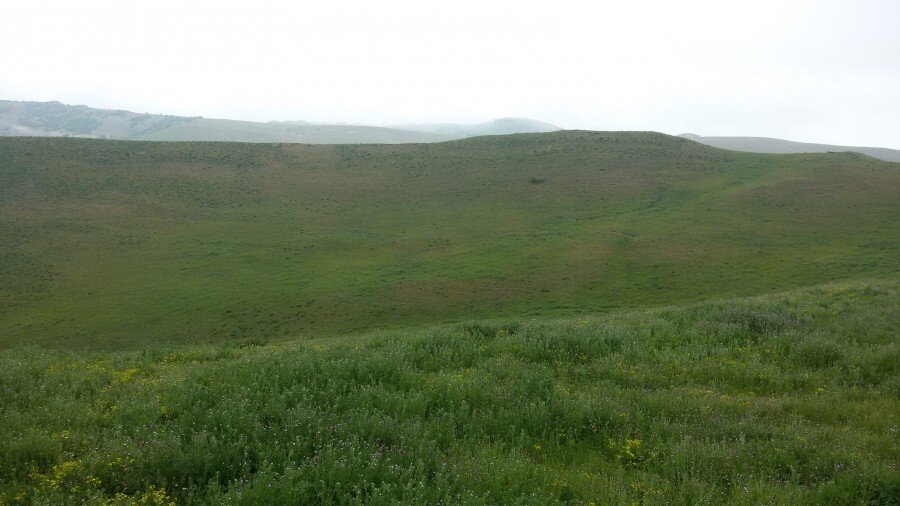 На склоне есть минимум три ровных окружности