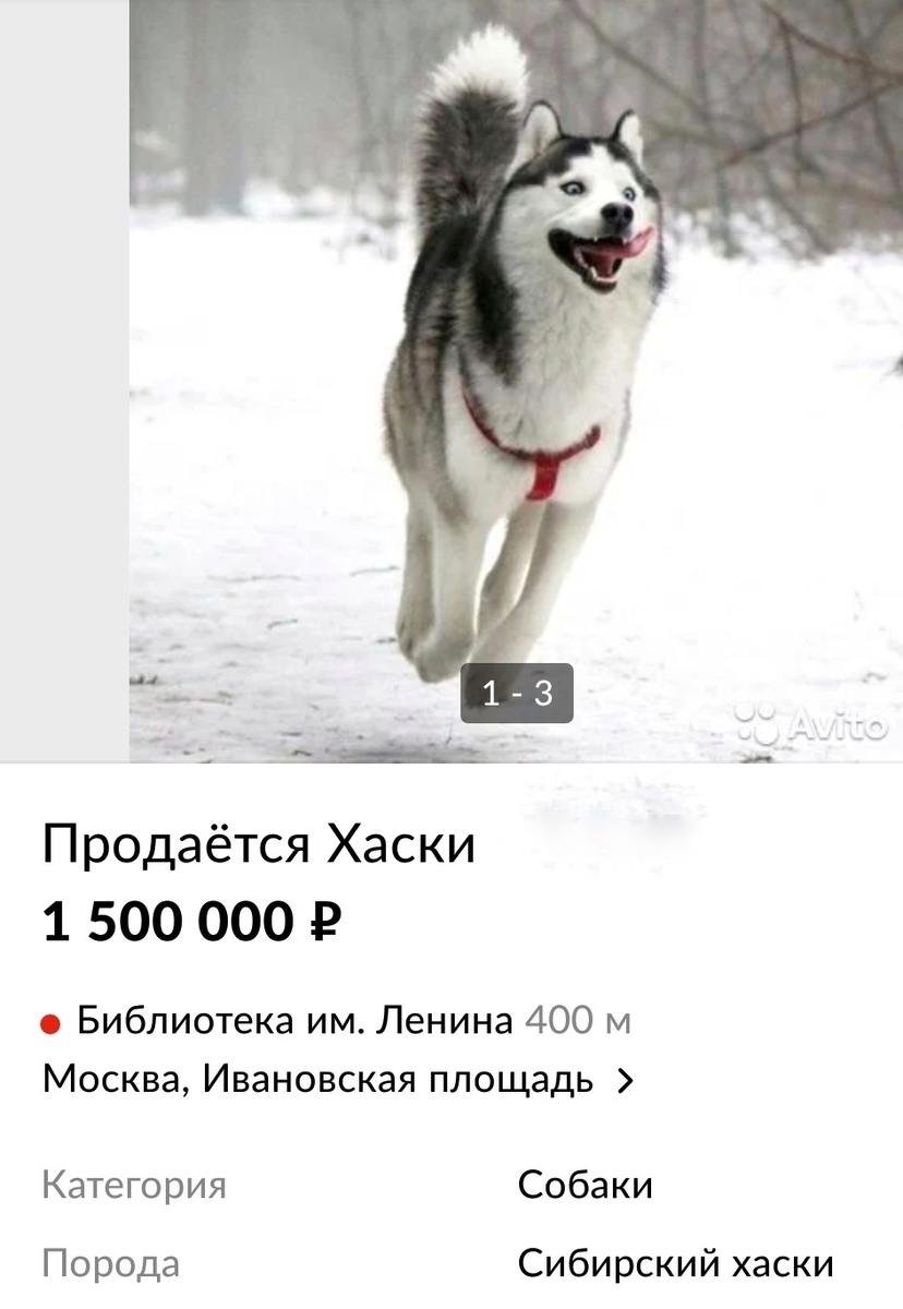 Источник фото: авито