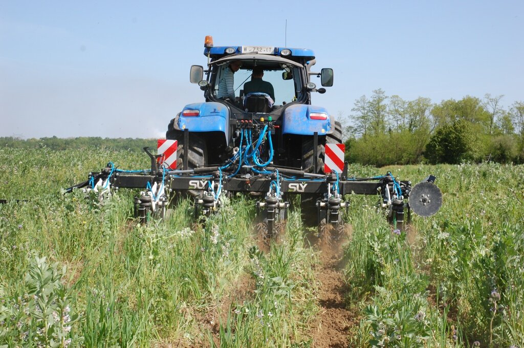 Обработка почвы. Технология обработки почвы strip till. Безотвальное земледелие. Полосная обработка почвы. Безотвальная вспашка культиватором.