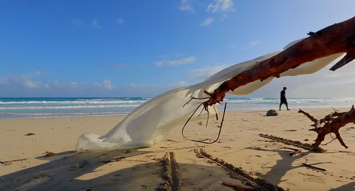  Страна Куба, является одной из последних на земле, где до сих пор главенствует коммунистически строй
