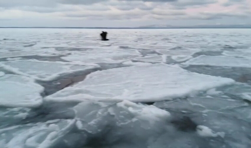 Кадр из видео: WhatsApp «Зимняя рыбалка»