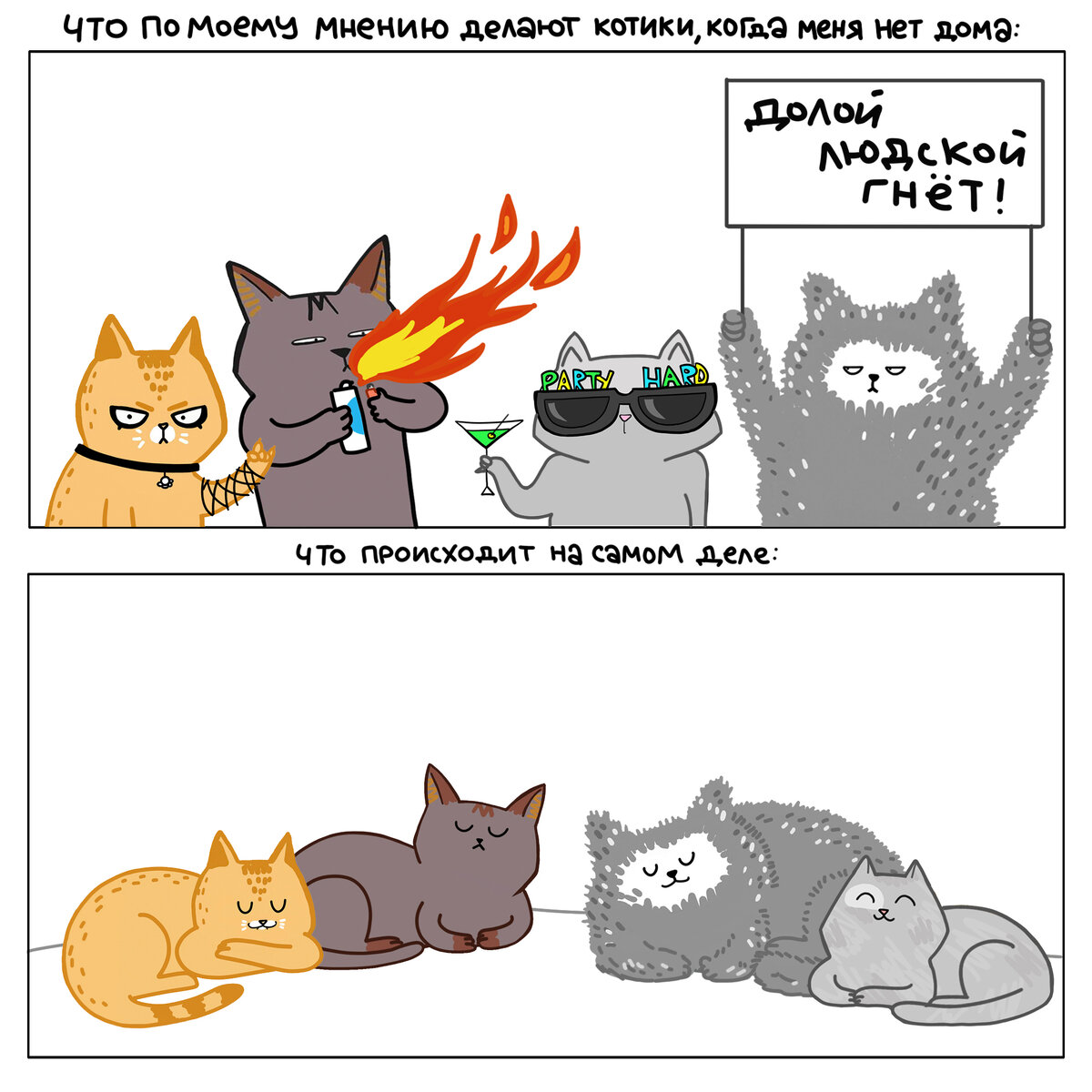 Возможно котики устраивают митинги и пускаются во все тяжкие :)