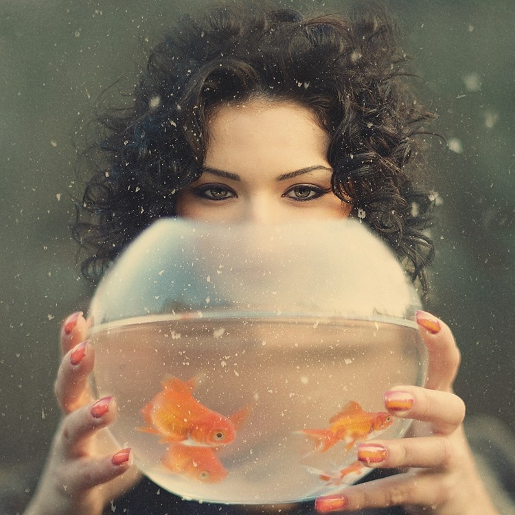 Взято с простор интернета)