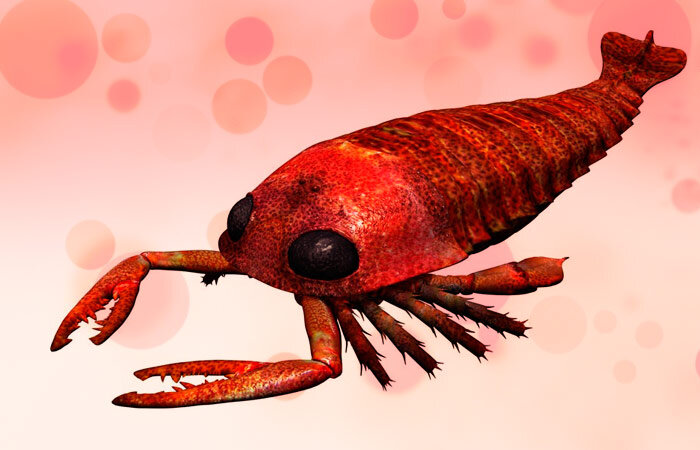 И появился тогда ракоскорпион, и стал есть еду