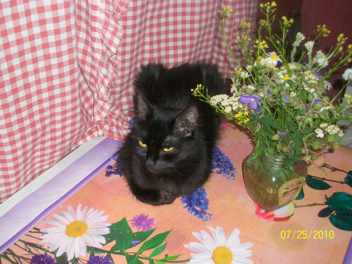 Здесь ей года 1,5