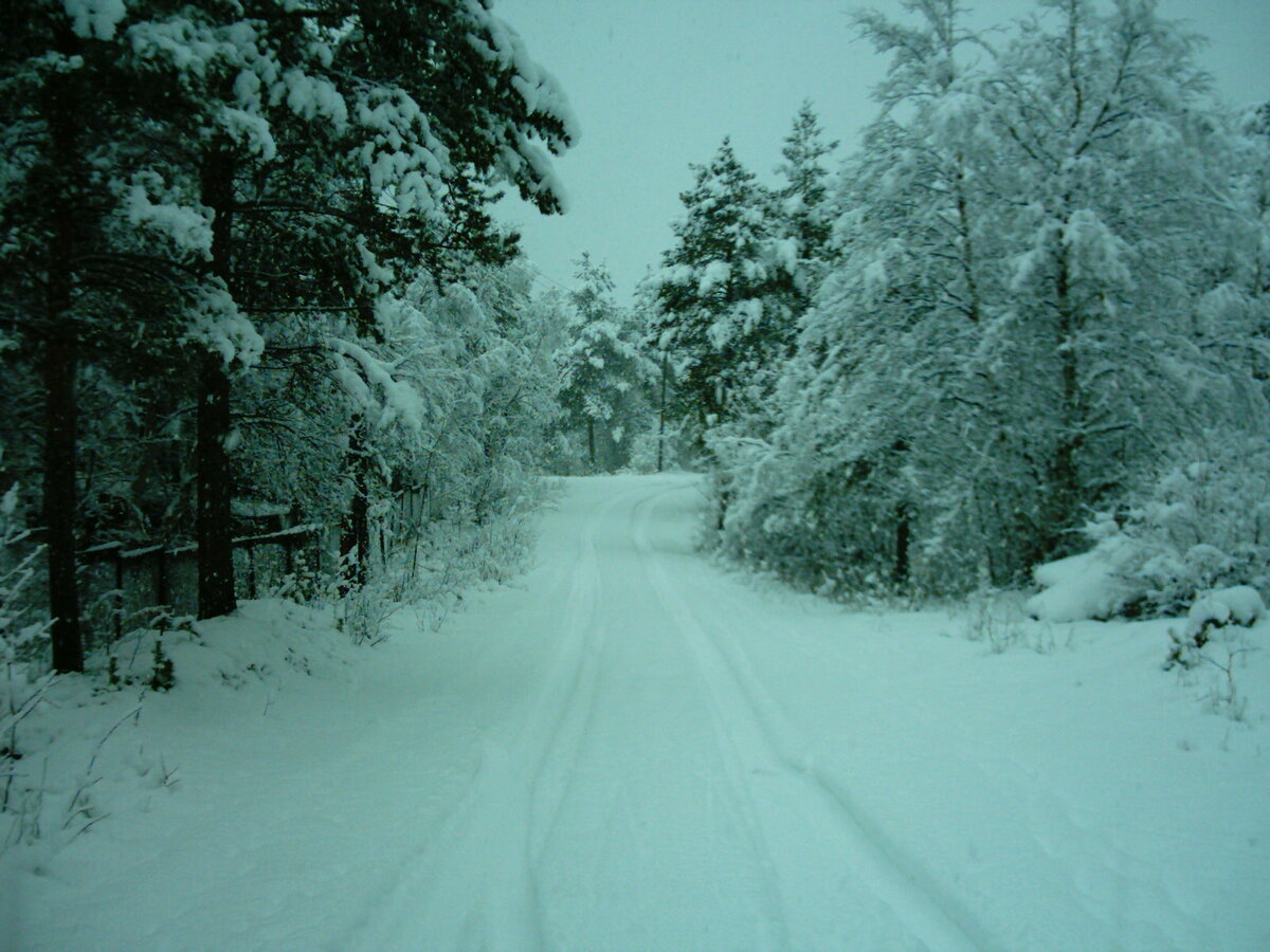 Фото из личного архива