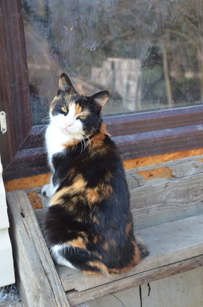 Фото от автора.