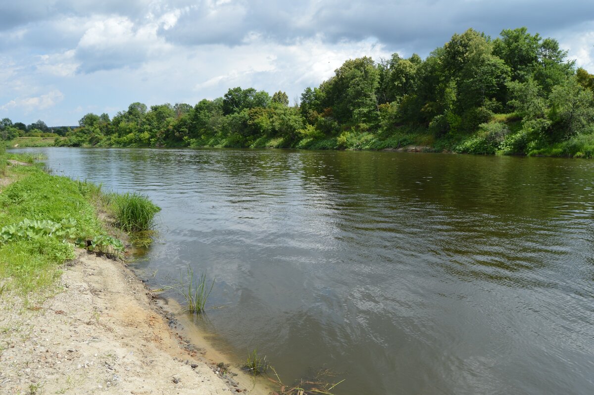 Откуда берет начало река сура. Река Сура Ульяновская область. Р Сура. Начало реки Сура. Река Сура на карте.