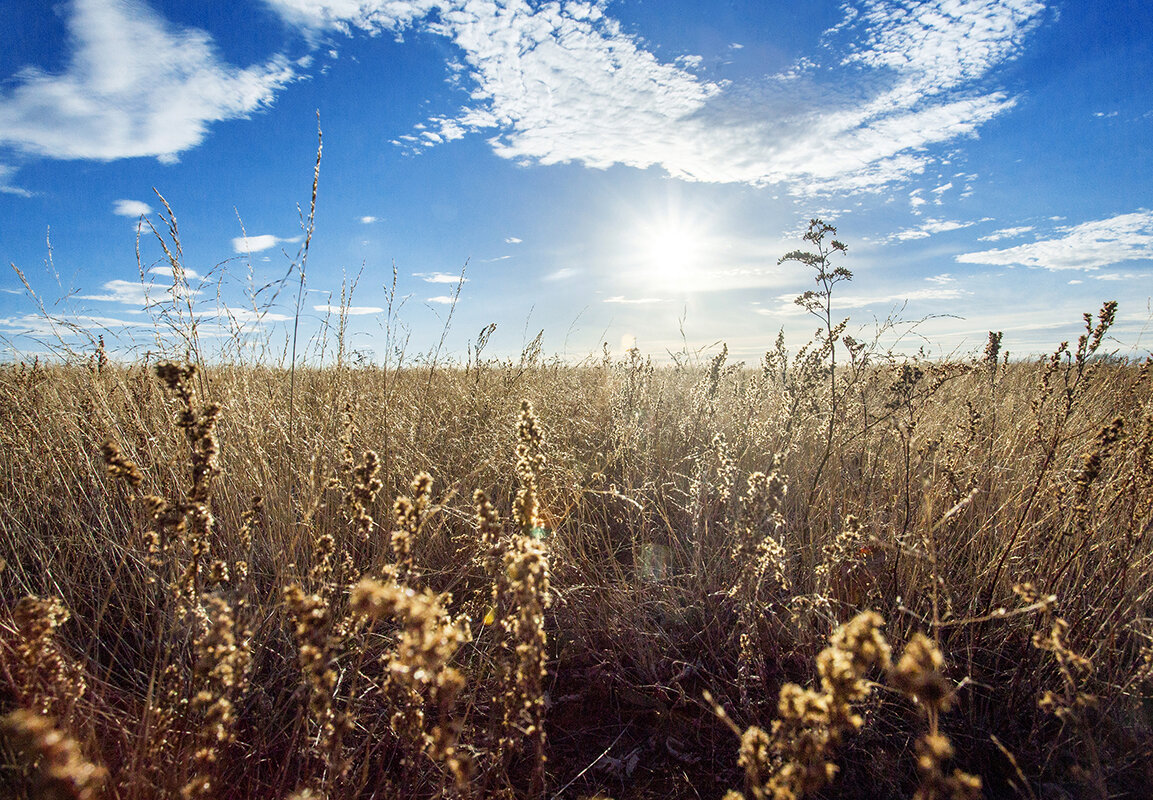 Фото из личного архива. Осень 2015 год